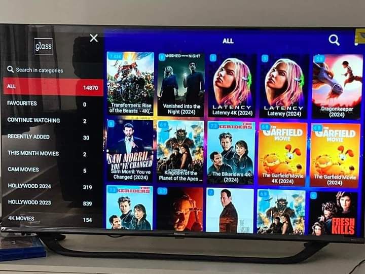 Camille L. verified user rating for Newdytv IPTV